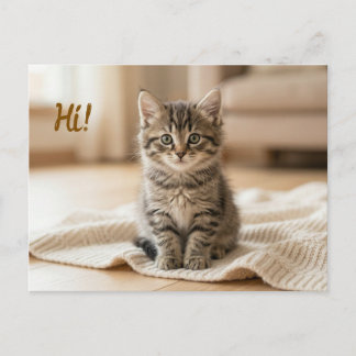 Our New Kitten Photo Announcement  Briefkaart
