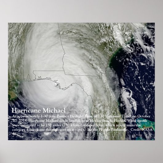 Ouragan Michael Poster (Devant)