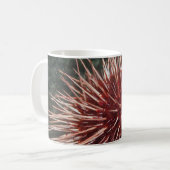Ourchine géante de la mer Rouge - Mug (Devant gauche)
