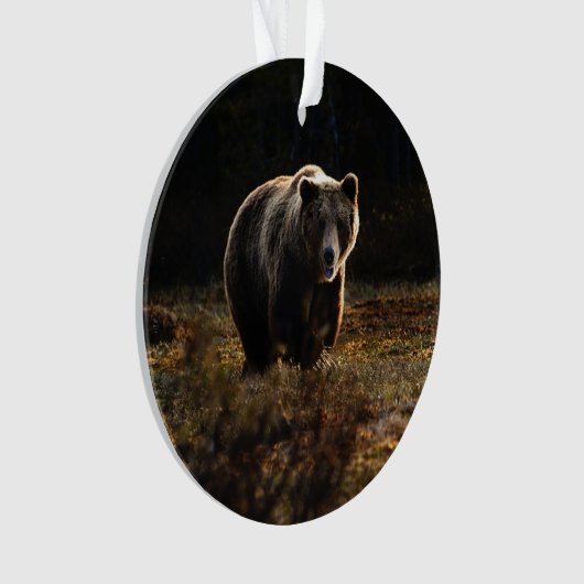 Ours (devant)