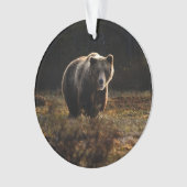 Ours (devant)