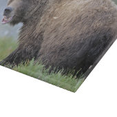 Ours affamé de planche à découper de Griz (Coin)