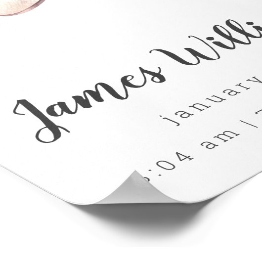 Ours Avion Bébé Statistiques de naissance Poster p (Coin)