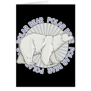 Ours blanc classique