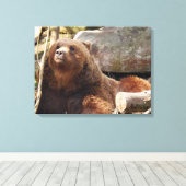 ours Brown au zoo vue impression de toile (Insitu (Plancher de Bois))