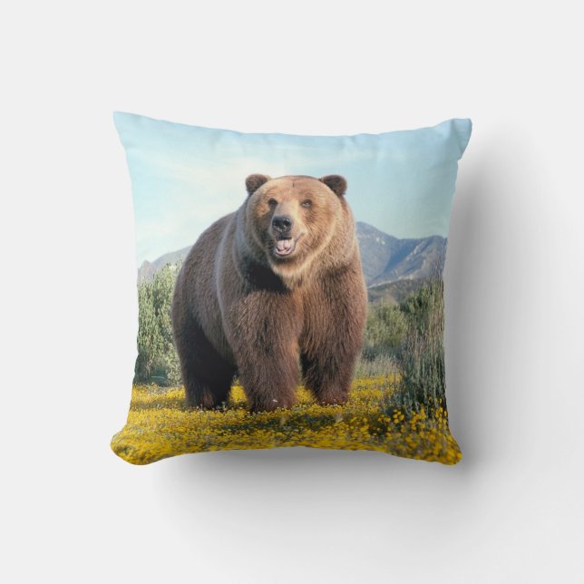 OURS BROWN DANS LE COUSSIN SAUVAGE DE COUSSIN (Recto)