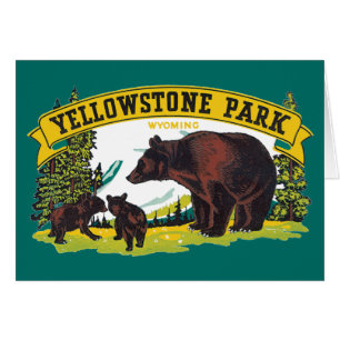 Ours Brown vintages dans le parc national de Yello