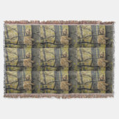 Ours Couvertures Art Kermode Ours Couverture Lance (Devant)