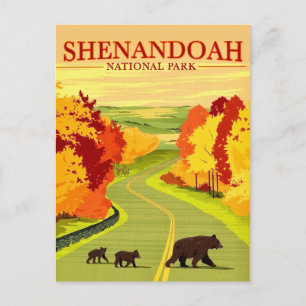 Ours dans la carte postale du parc national de She