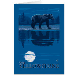 Ours dans le clair de lune - Yellowstone
