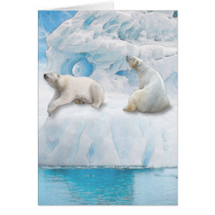 Ours de glacier - Carte d'art de 5 po x 7 po