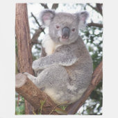 Ours de koala dans la couverture d'ouatine d'arbre (Devant)