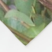 Ours de koala dans la couverture d'ouatine d'arbre (Coin)