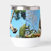 Ours De Koala Dans L'Ancien Pin, (Droite)