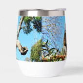 Ours De Koala Dans L'Ancien Pin, (Gauche)