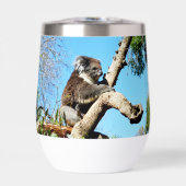 Ours De Koala Dans L'Ancien Pin, (Avant)