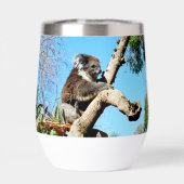 Ours De Koala Dans L'Ancien Pin, (Arrière)