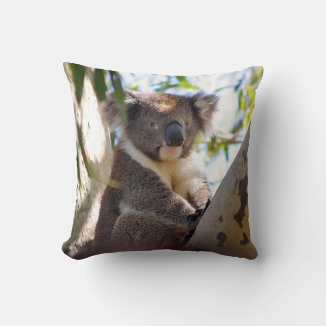 Ours de Koala dans un arbre Oreiller décoratif ani (Recto)