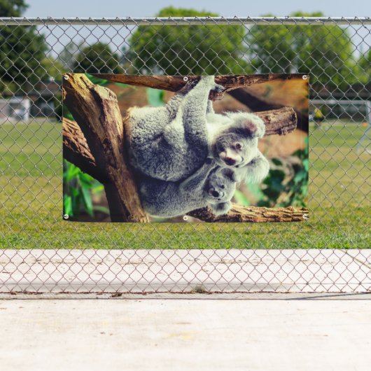 OURS DE KOALA ET BANNIÈRE DE CUB AVEC GROMMETS (En situation)