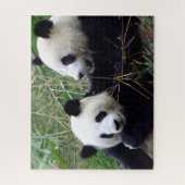 Ours de panda géants Manger Bambou & Jouer puzzle (Vertical)