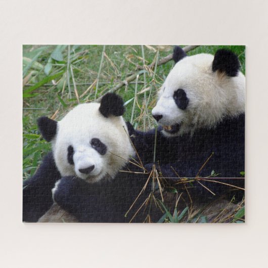 Ours de panda géants Manger Bambou & Jouer puzzle (Horizontal)