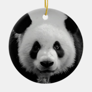 Ours de panda noir et blanc Ornement d'arbre de No