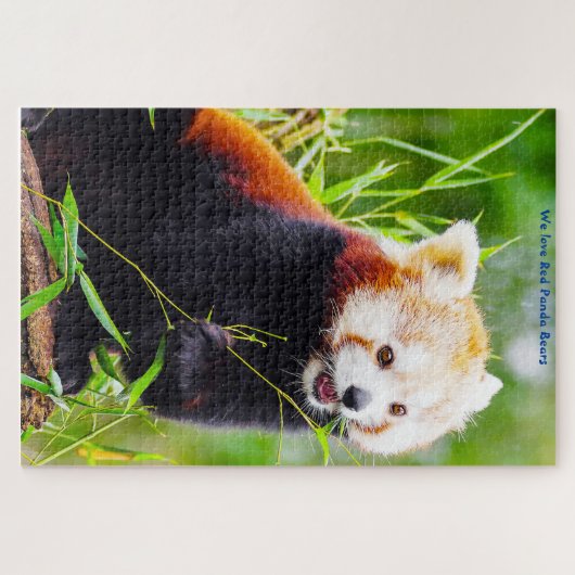 Ours De Panda Rouge. Jigsaw Puzzle (Horizontal)