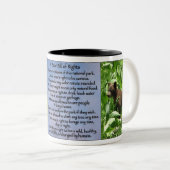 Ours déclaration de tasse des droits (Devant droit)