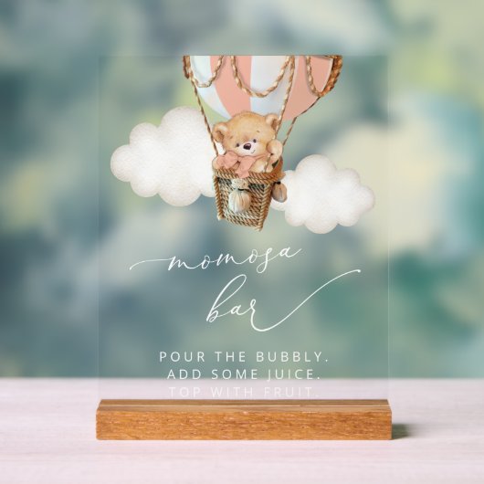 Ours En Teddy, Ballotte À Air Chaud Rose, Bar Momo (Neutre)