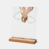 Ours En Teddy, Ballotte À Air Chaud Rose, Bar Momo (Angle)