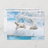 Ours Glacier - Carte postale (Devant / Derrière)