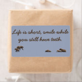 Ours grizzli étiquette et proverbe (En situation)