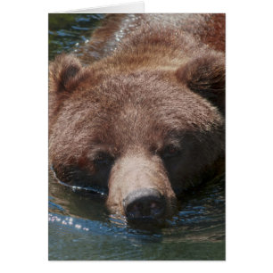 Ours grizzly