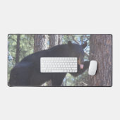 Ours noir (Clavier et souris)