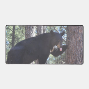 Ours noir