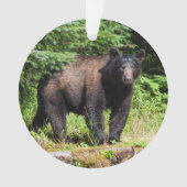 Ours noir Alpha (devant)