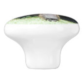 Ours Noir - Bouton en céramique "Cubby" (Côté)