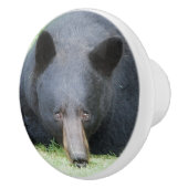 Ours Noir - Bouton en céramique "Cubby" (Droite)