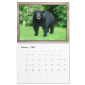 Ours noir - Calendrier Cubby Love 2025 (Feb 2026)