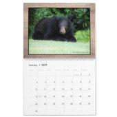 Ours noir - Calendrier Cubby Love 2025 (Jan 2027)