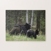 Ours noir de Yellowstone de puzzle (Horizontal)