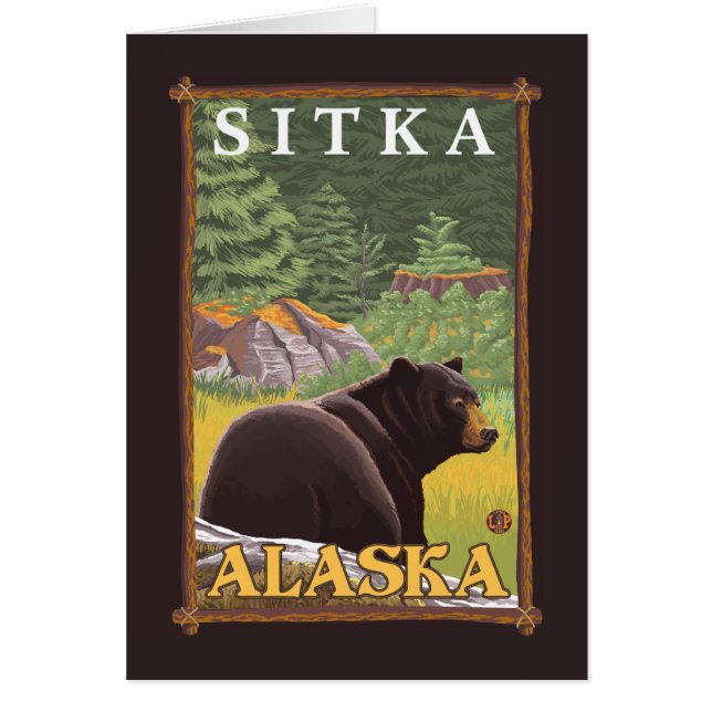 Ours noir en forêt - Sitka, Alaska (Devant)