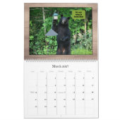 Ours noir - Humour d'amour Cubby 2025 Calendrier (Mar 2027)