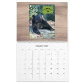 Ours noir - Humour d'amour Cubby 2025 Calendrier (Jan 2026)