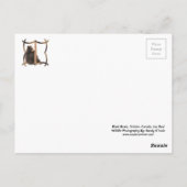 Ours noirs, carte postale de cadeaux (Dos)