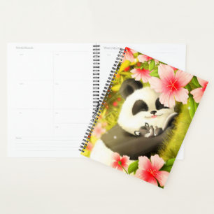 Ours Panda