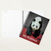 Ours Panda (Devant avec enveloppe)