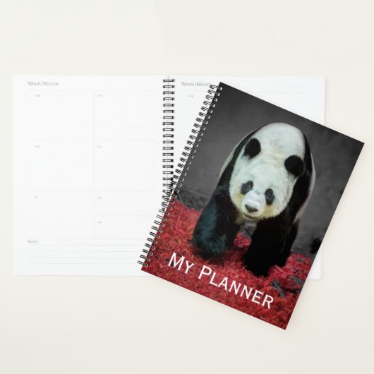 Ours Panda (Devant avec enveloppe)