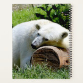 Ours polaire (Dos)