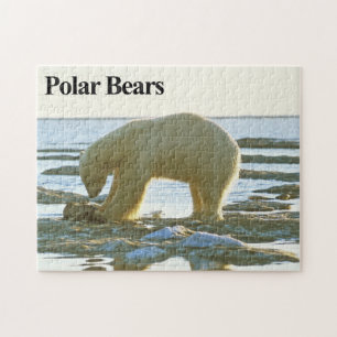 Ours polaire 10 Jigsaw Puzzle